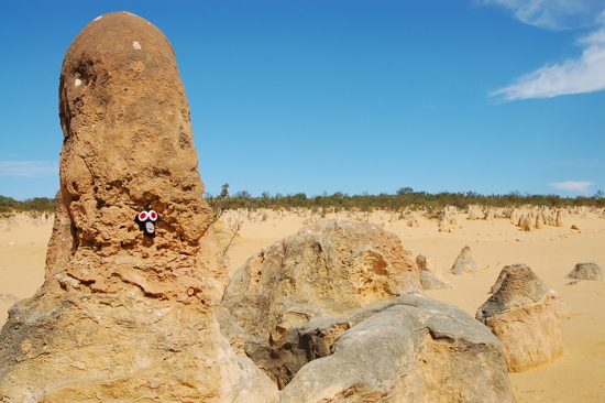 BigEyes dans le désert des Pinnacles