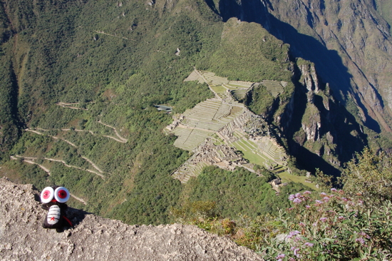 BigEyes au sommet du Wayna Picchu
