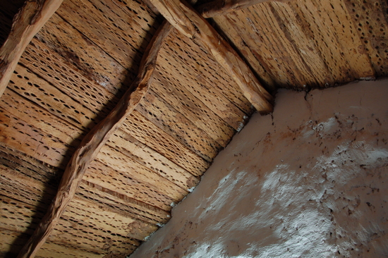 Plafond en bois de cactus, église de Socaïre