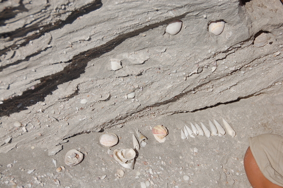 Les fruits de la mine