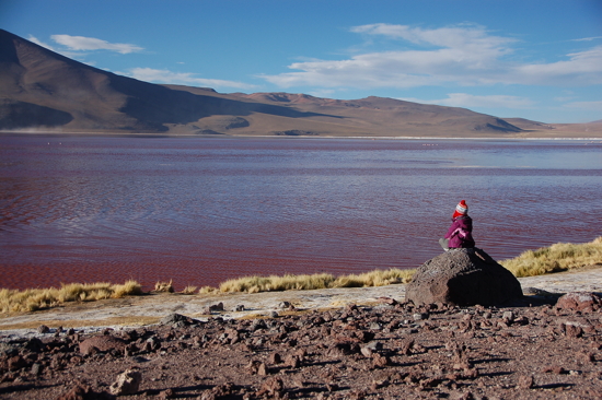 A la Laguna colorada