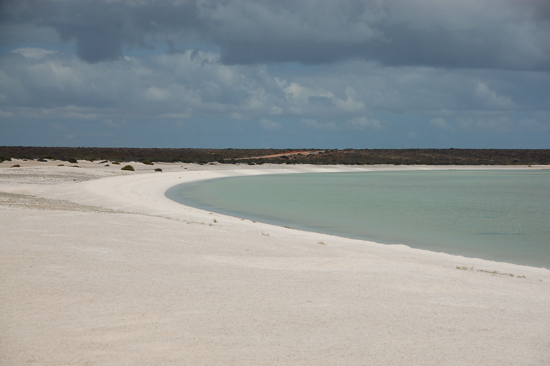 Shell Beach