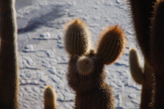 On a encore retrouvé Mickey...