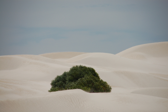 Survie au milieu du sable