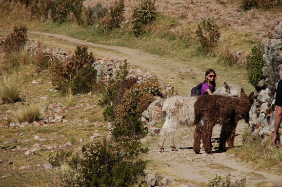 Pendant la traversée de l'Isla del Sol