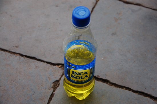 La boisson de l'Inca