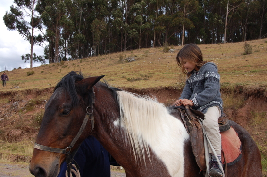 Mini-balade à cheval