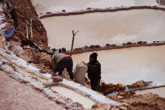 Récolte du sel aux Salinas de Maras