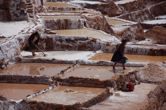 Récolte du sel aux Salinas de Maras