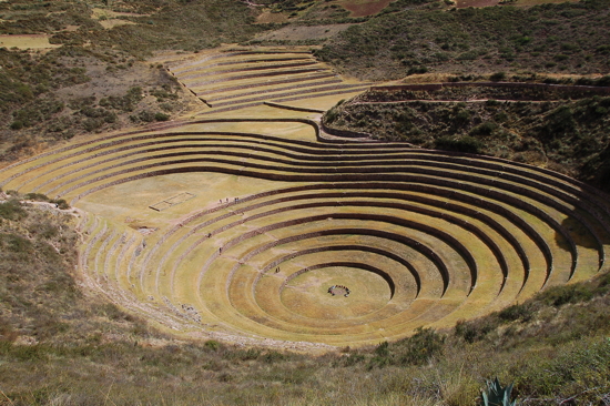 Les terrasses de Moray