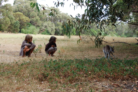 Aux abords du golf d'Anglesea