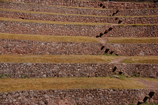 Les escaliers des terrasses de Moray