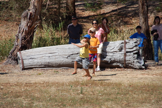 Leçon de lancer de boomerang