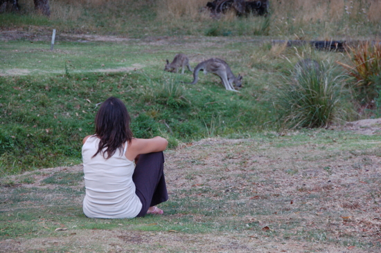 Jeanique observe des kangourous juste derrière notre auberge