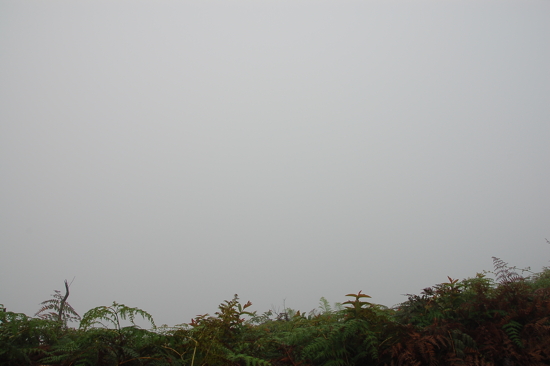 La caldera de Sierra Negra dans le brouillard