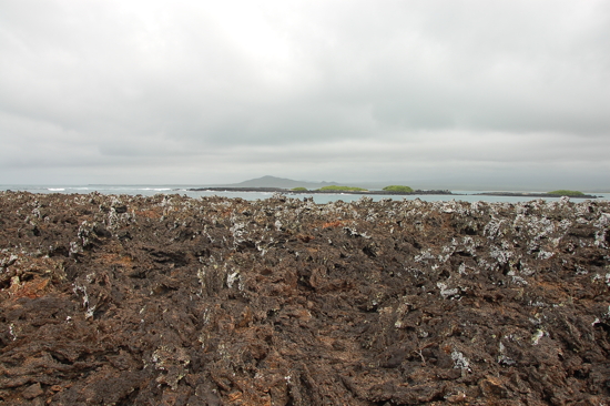 Tintoreras, îlot de lave