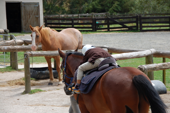 Pas envie de quitter Red