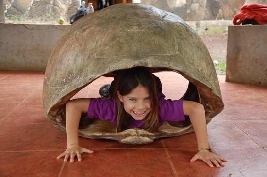 Dure dure, la vie de tortue