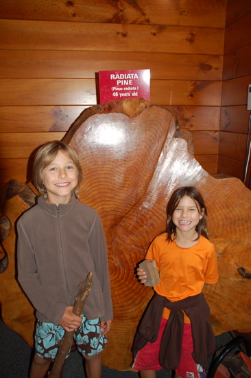 A la forêt de Whakarewarewa