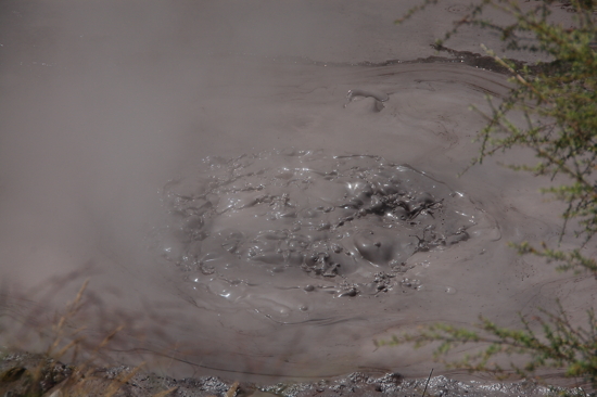 Premières bulles de boue au Kuirau PArk de Rotorua