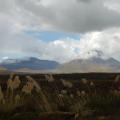 Vue partielle sur le Tongariro et le Ngauruhoe