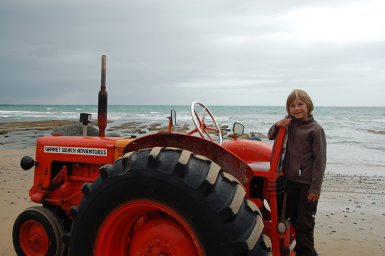 Sur le tracteur de Cape Kidnappers
