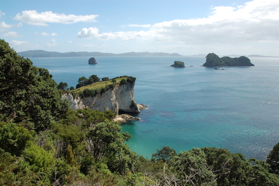 Près de Cathedral Cove, Hahei (Coromandel)