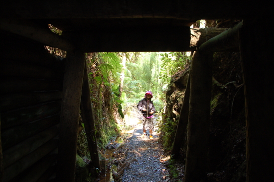 A la sortie du tunnel des mines, Broken Hills (Coromandel)