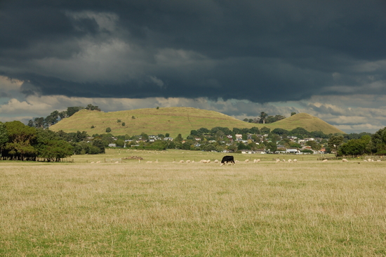 Quelques moutons tout de même