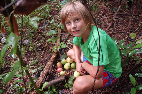 Des fruits de la passion