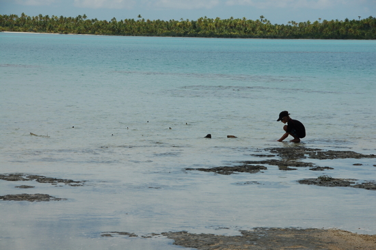 Valentin avec les petits requins au Lagon Bleu