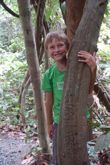 Au Rainforest Centre