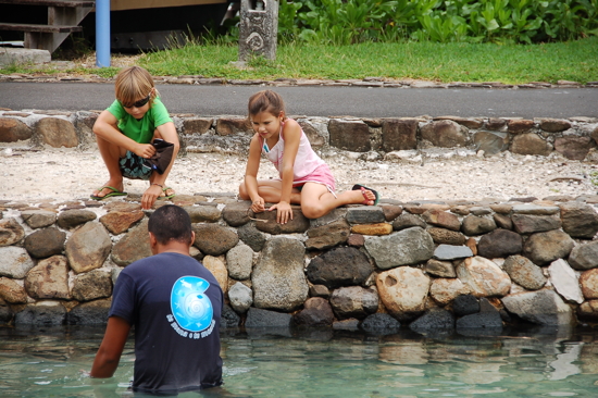 Avec Noël à la clinique des tortues