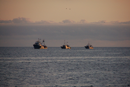 Bateaux de pêche au lever du soleil