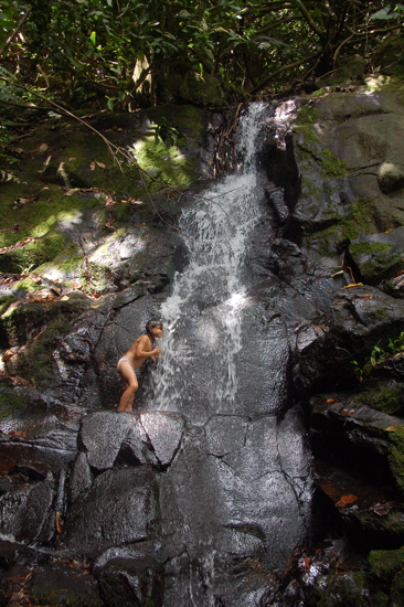A la cascade du Tropical Garden