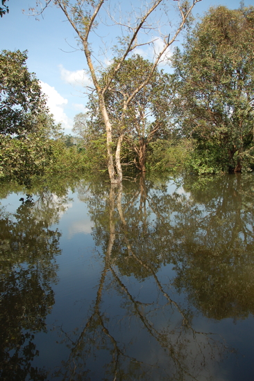 Reflet à Angkor