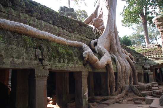 Ta Phrom