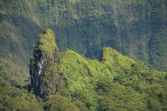 Tahiti vert