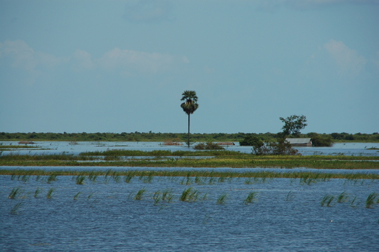 Toujours et encore de l'eau