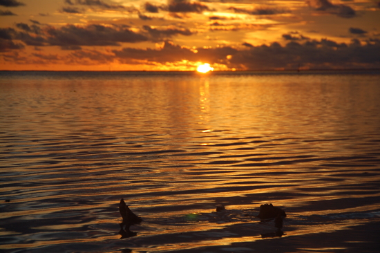 Leïla profite jusqu'au bout