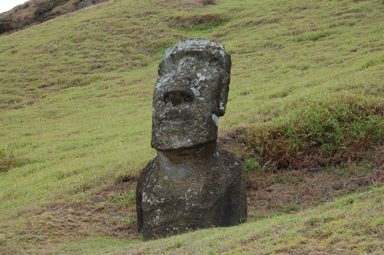 Sur les flancs du Rano Raraku