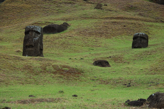 Sur les flancs du Rano Raraku