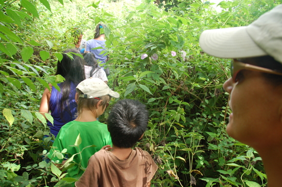 Dans la jungle!