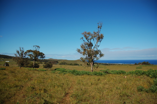 Près de Puna Pau