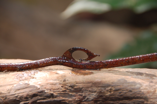 Trouvé par Valentin