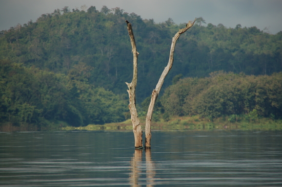 Sur le Réservoir de Khao Laem