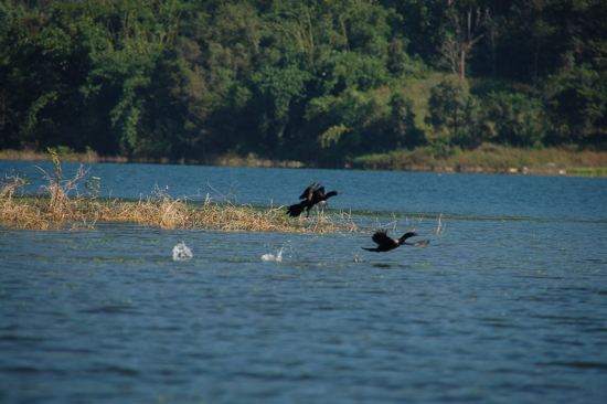 Sur le Réservoir de Khao Laem