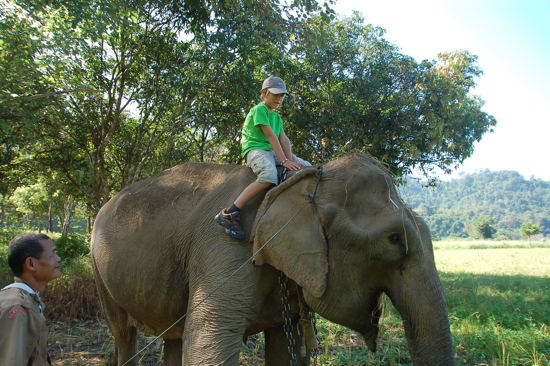 Autour d'un village Karen