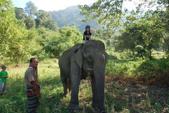 Autour d'un village Karen