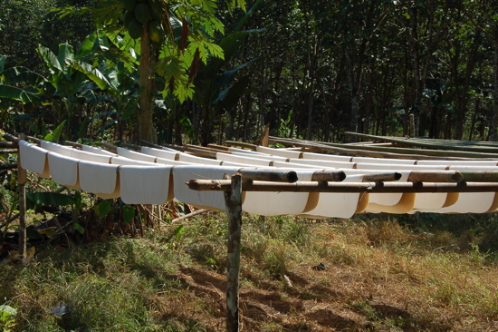 Séchage du caoutchouc